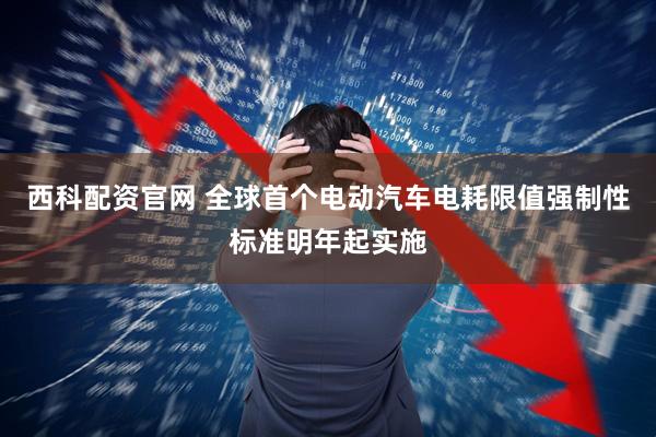 西科配资官网 全球首个电动汽车电耗限值强制性标准明年起实施