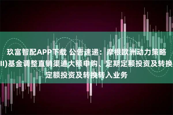 玖富智配APP下载 公告速递：摩根欧洲动力策略股票(QDII)基金调整直销渠道大额申购、定期定额投资及转换转入业务