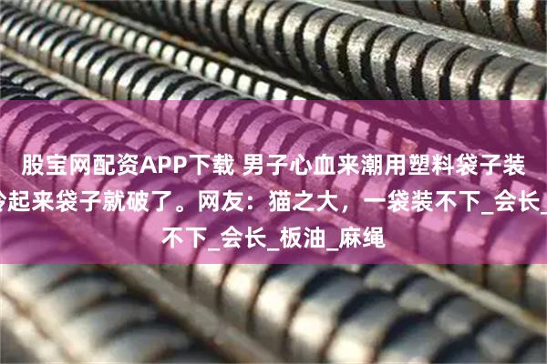 股宝网配资APP下载 男子心血来潮用塑料袋子装猫咪，刚拎起来袋子就破了。网友：猫之大，一袋装不下_会长_板油_麻绳